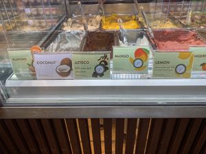 Vegan ice cream  at Venchi in Richmond Upon Thames