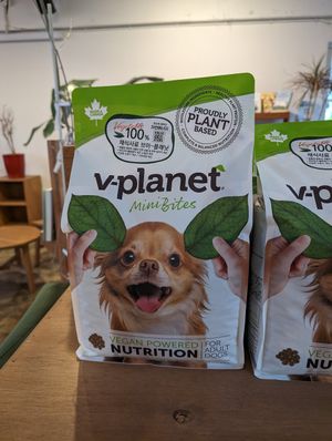  at Nono Shop & Cafe Seoul in Seoul