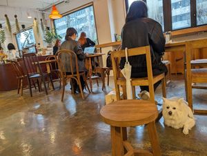  at Nono Shop & Cafe Seoul in Seoul