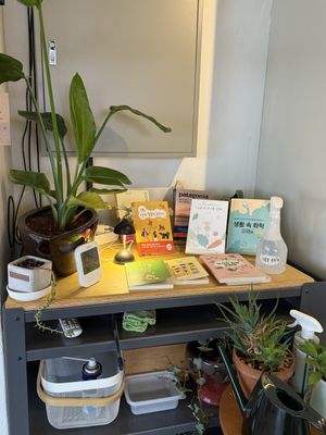   at Nono Shop & Cafe Seoul in Seoul