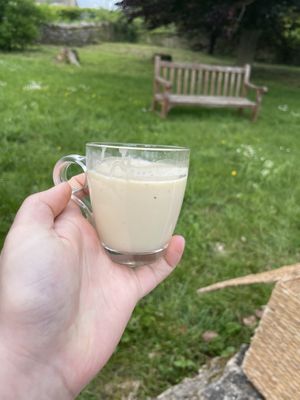 Vegan panne cotta made with foraged elderflower  at Wild Food UK in Hereford