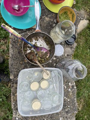 Vegan dandelion hummus and lentil mix   at Wild Food UK in Hereford