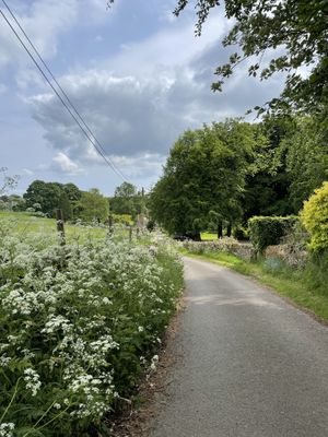 Views on the foraging walk  at Wild Food UK in Hereford