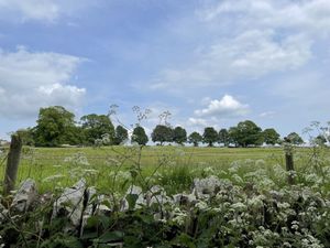  Views of Notgrove foraging walk  at Wild Food UK in Hereford