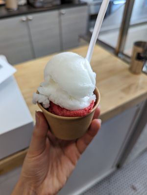 Lemon and raspberry sorbet at Ripples in Montreal