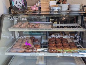 Morning donuts at Knead  in Albuquerque