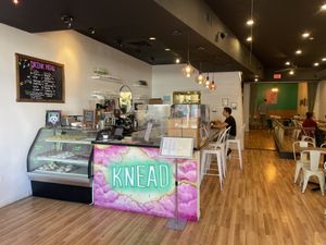 Counter  at Knead  in Albuquerque