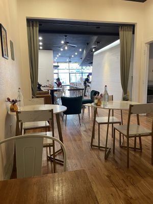 Dining  at Knead  in Albuquerque