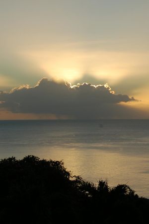 The view from our table at the restaurant during dinner!!! at The Restaurant at Mango Bay in St Johns
