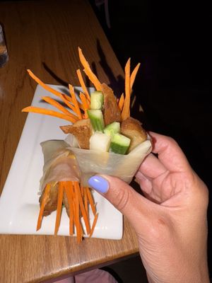 Duck wrap  at Spicy Moon  - Bowery in New York City