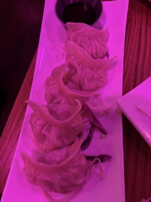 dumplings  at Spicy Moon  - Bowery in New York City