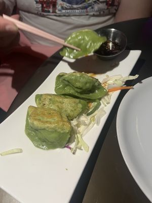 Dumplings entree…fantástic  at Spicy Moon  - Bowery in New York City