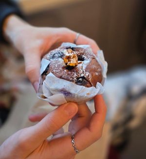  at Falo Coffee Brewers in Takayama