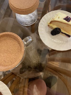   at Canterbury Tails Cat Cafe in Canterbury