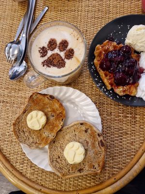  at Canterbury Tails Cat Cafe in Canterbury