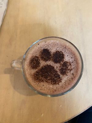  at Canterbury Tails Cat Cafe in Canterbury