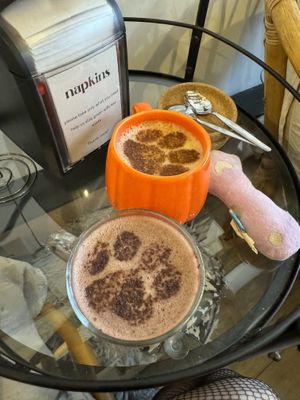   at Canterbury Tails Cat Cafe in Canterbury