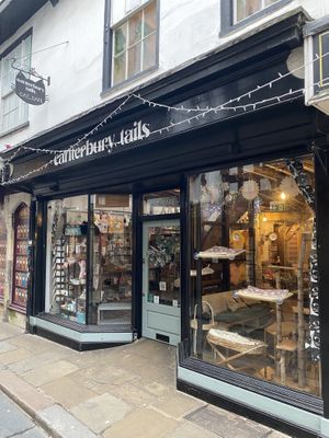 Canterbury Tails  at Canterbury Tails Cat Cafe in Canterbury