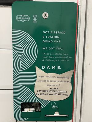   at Canterbury Tails Cat Cafe in Canterbury