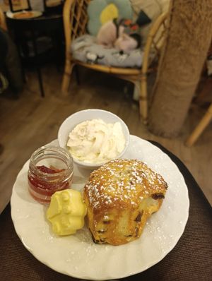  at Canterbury Tails Cat Cafe in Canterbury