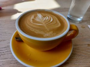 Oat latte at The Avenue  in Brighton