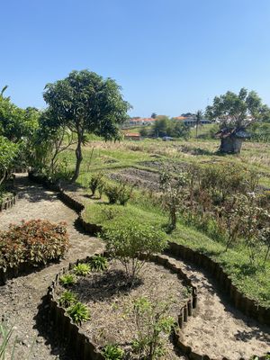 Garden  at Xich Lo in Canggu
