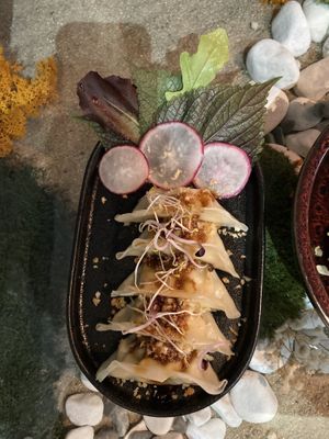 Amazing Dumplings 🥟   at Emira in Berlin