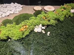 Tischdeko! Ein kleines bischen Urlaub 😃  at Emira in Berlin