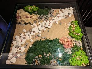 One of many tables at Emira at Emira in Berlin