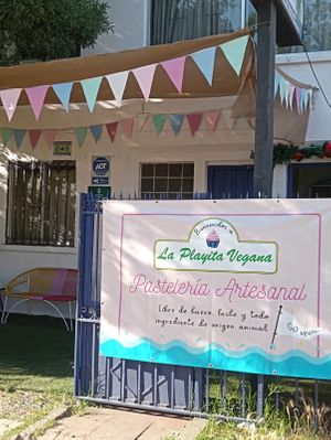  at La Playita Vegana in Talca
