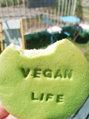  at La Playita Vegana - Online in Talca