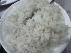 Plain rice   at Oriental City - 东方城中餐馆 in Tirana
