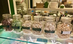 The pastas   at Pasta Imperiale in Rome