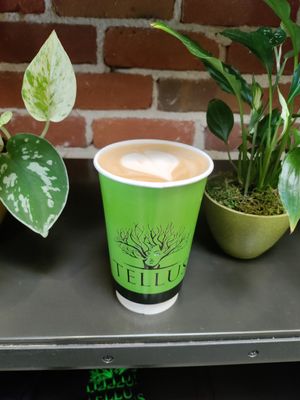 PSL at Tellus Coffee  in Walnut Creek