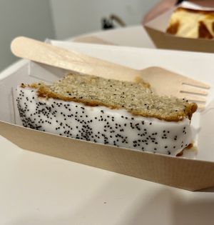   at Dharma in Barcelona