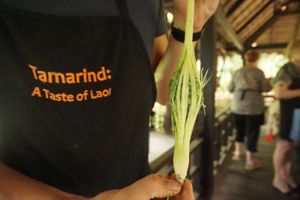 Cooking class, vegan at Tamarind - A Taste of Laos in Luang Prabang