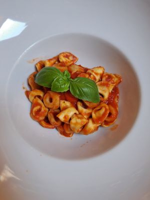 Tortellini vegani al pomodoro at La Rustica Pizzeria Osteria in Bologna