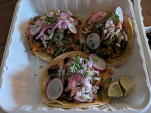 Vegan tacos at Neno's Gourmet Mexican Street Food in Rochester