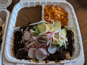 Vegan enchiladas at Neno's Gourmet Mexican Street Food in Rochester