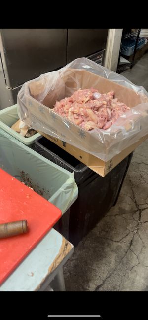   at Oasis Tea Zone in Seattle