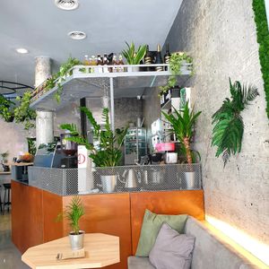  at VíK - Vegan Venue in Bratislava