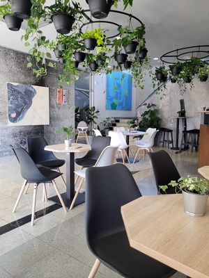 Inside   at VíK - Vegan Venue in Bratislava