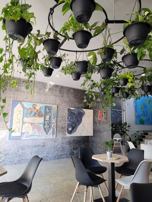 Inside   at VíK - Vegan Venue in Bratislava