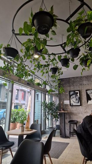  at VíK - Vegan Venue in Bratislava