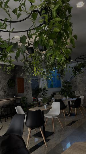   at VíK - Vegan Venue in Bratislava