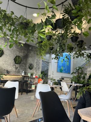   at VíK - Vegan Venue in Bratislava