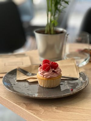  at VíK - Vegan Venue in Bratislava