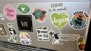   at VíK - Vegan Venue in Bratislava