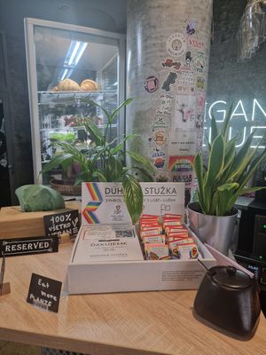  at VíK - Vegan Venue in Bratislava