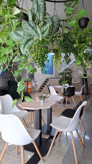  at VíK - Vegan Venue in Bratislava